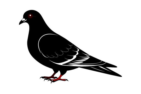 Pigeon Silhouette Vector Design: Practical Creative Uses