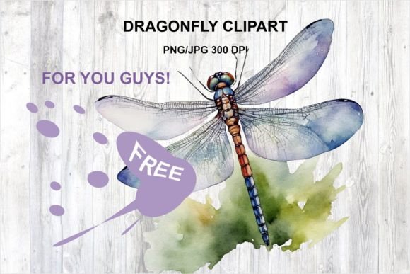 Understanding the Dragonfly: Nature’s Master Engineer and Its Impact on Modern Life